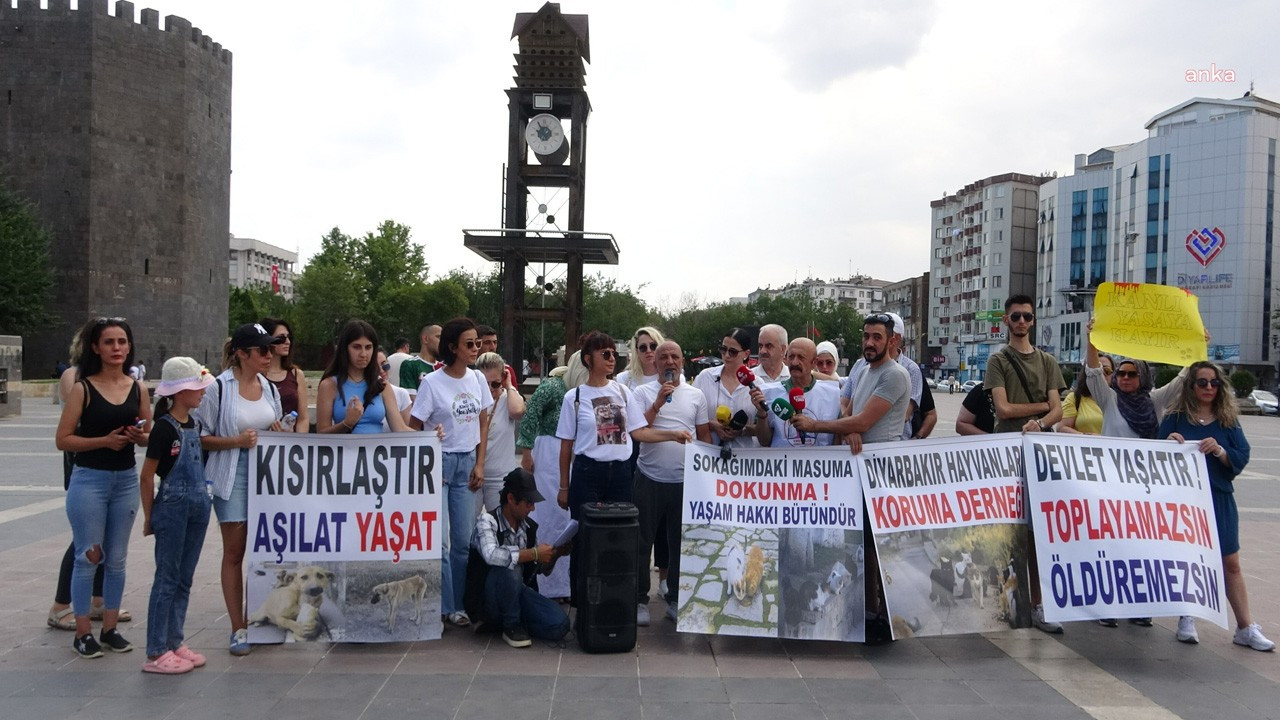 Diyarbakır hayvan hakları savunucuları: Bu kanun teklifi, kan kokuyor. Size bu hayvanları öldürtmeyeceğiz