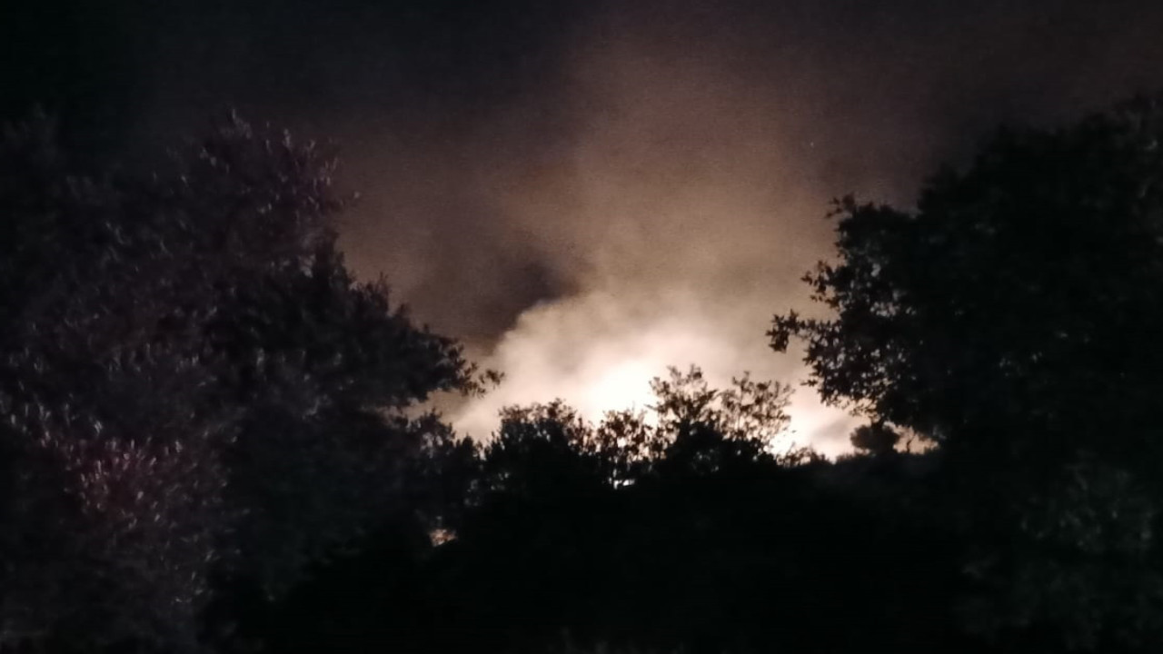 Antalya'da orman yangını: 7 dekarlık alan zarar gördü