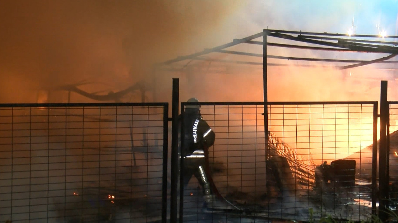 Sancaktepe'de ahırda başlayan yangın kümese sıçradı