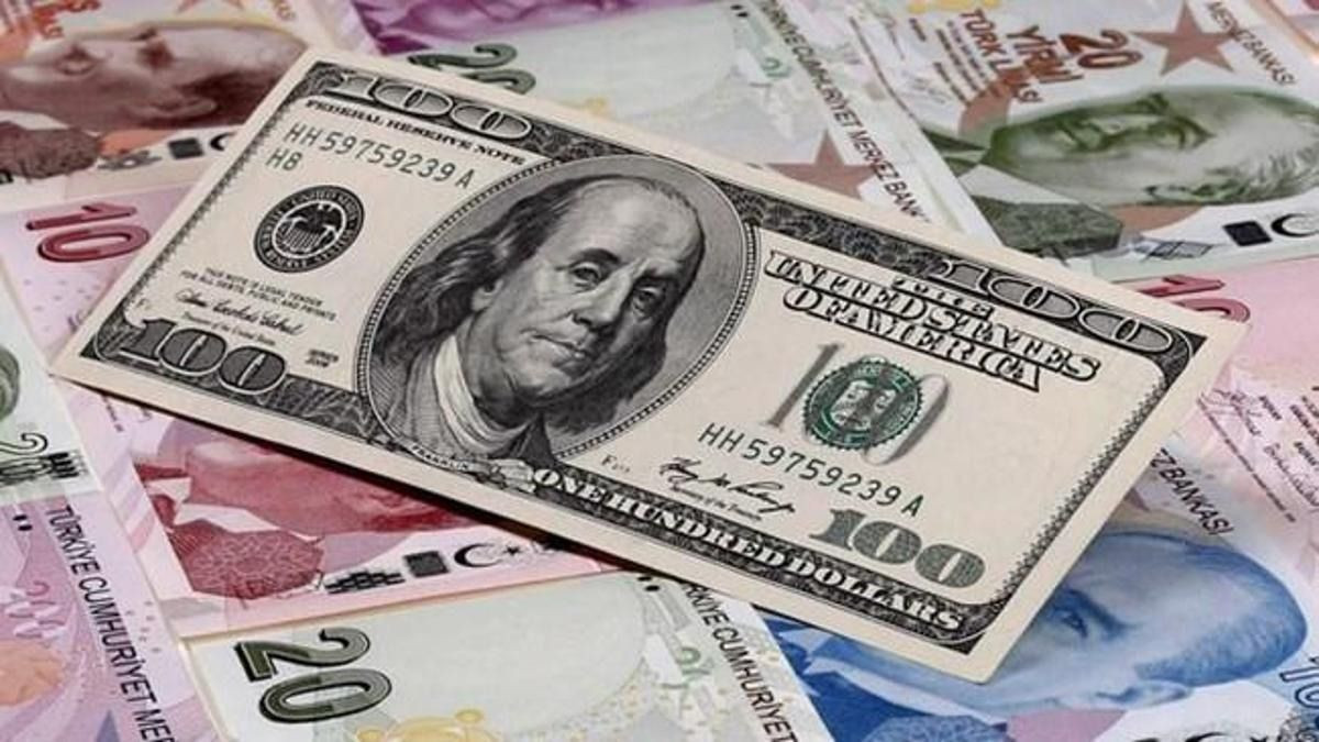 Dolar iddiası: Merkez Bankası almasa 20 liraya düşer - Sayfa 2