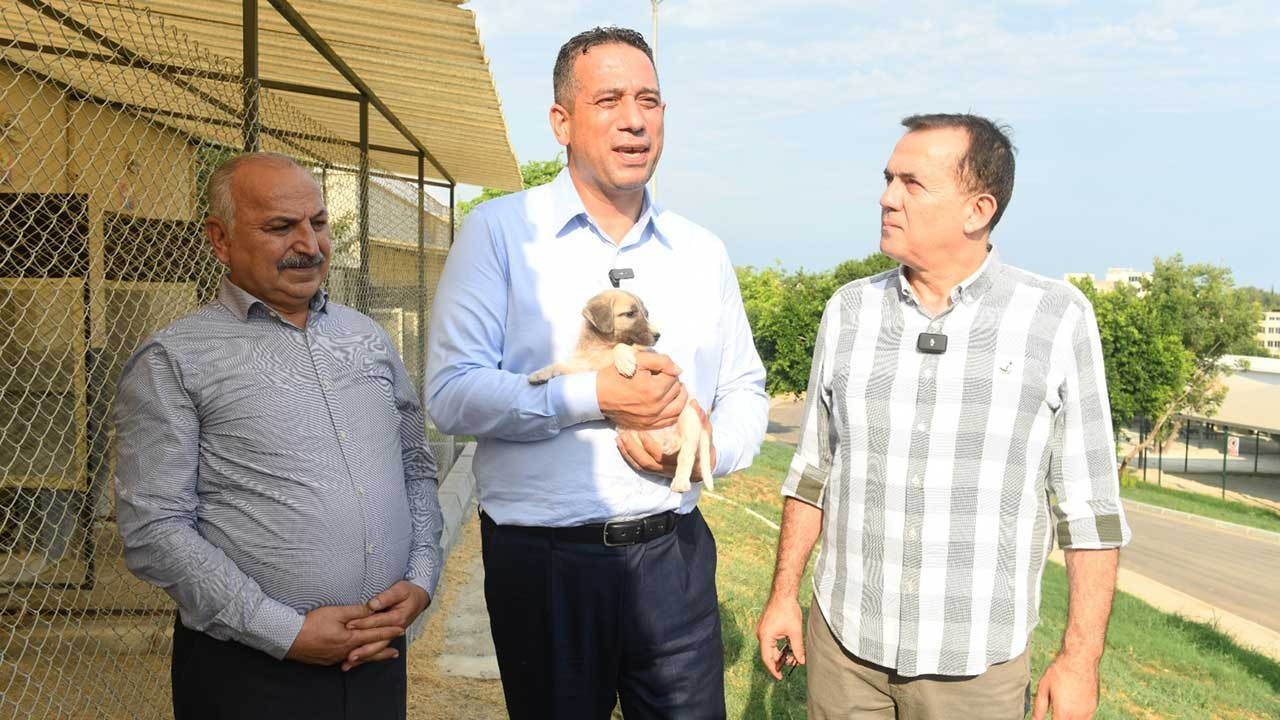 CHP'li Başarır ve Dinçer, Yenişehir hayvan bakımevini gezdi