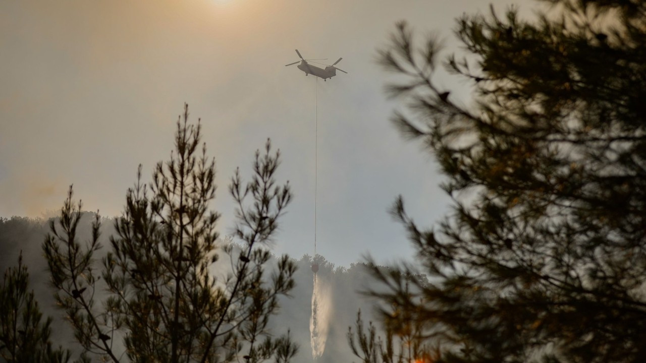 Bergama'da dün başlayan orman yangını kontrol altına alındı
