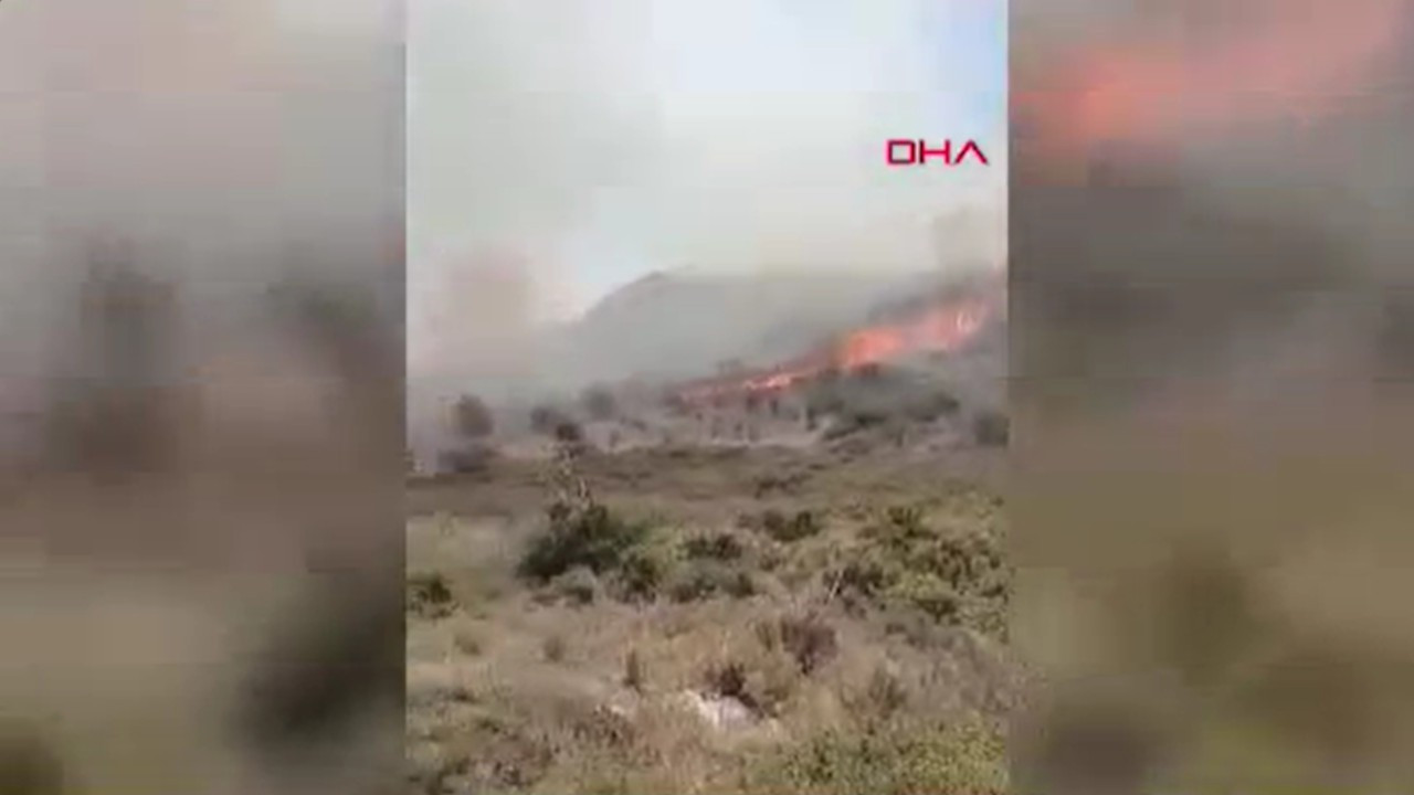 Çeşme yangını: Çektiği son videoda kaçmaya çalıştıklarını anlatmış