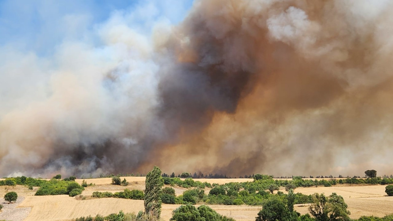 Balıkesir'de orman yangını: 3 kişi gözaltına alındı