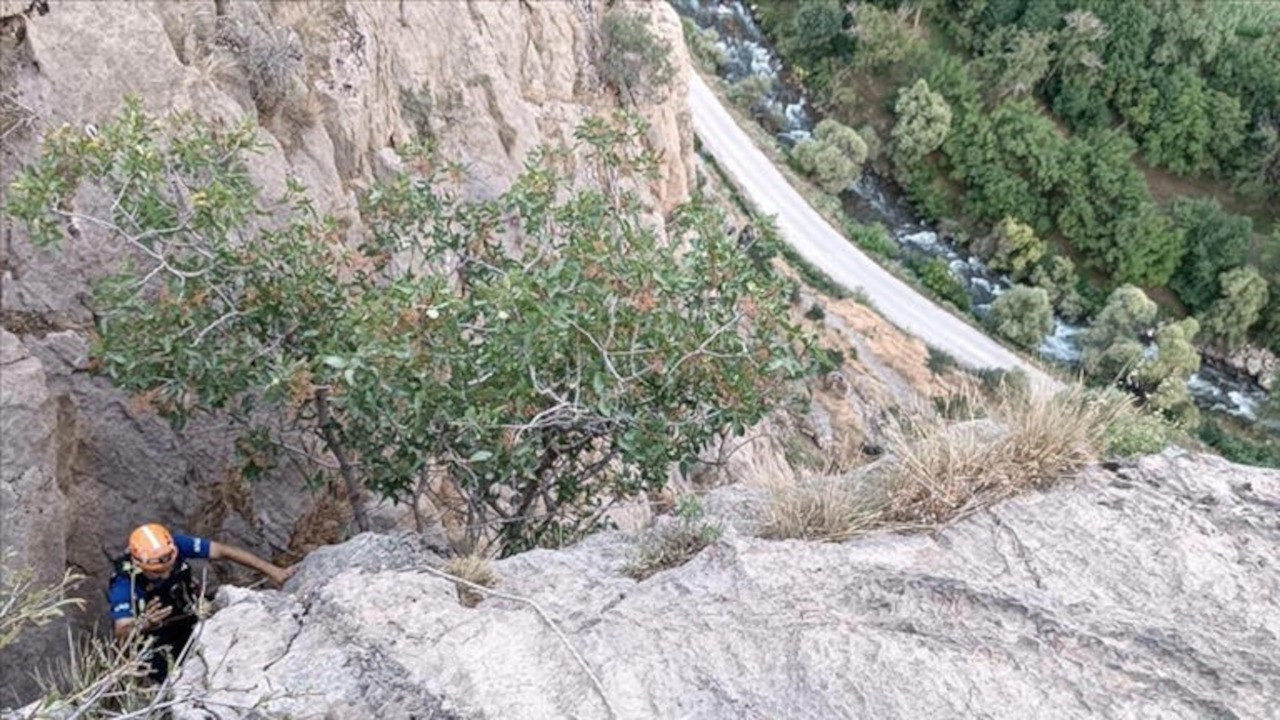 Bitlis'te kayalıklarda mahsur kalan oğlaklar kurtarıldı