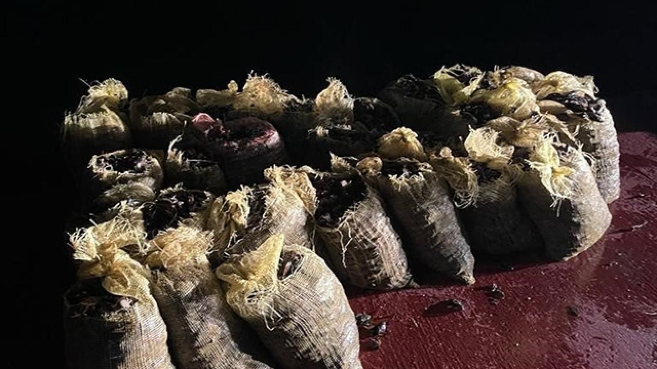 İstanbul'da 1,5 ton kaçak midye ele geçirildi