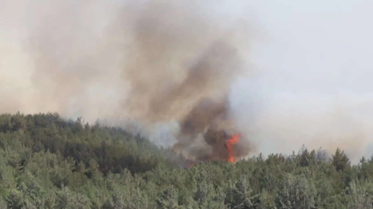 İzmir Buca'da ormanlık alanda yangın çıktı