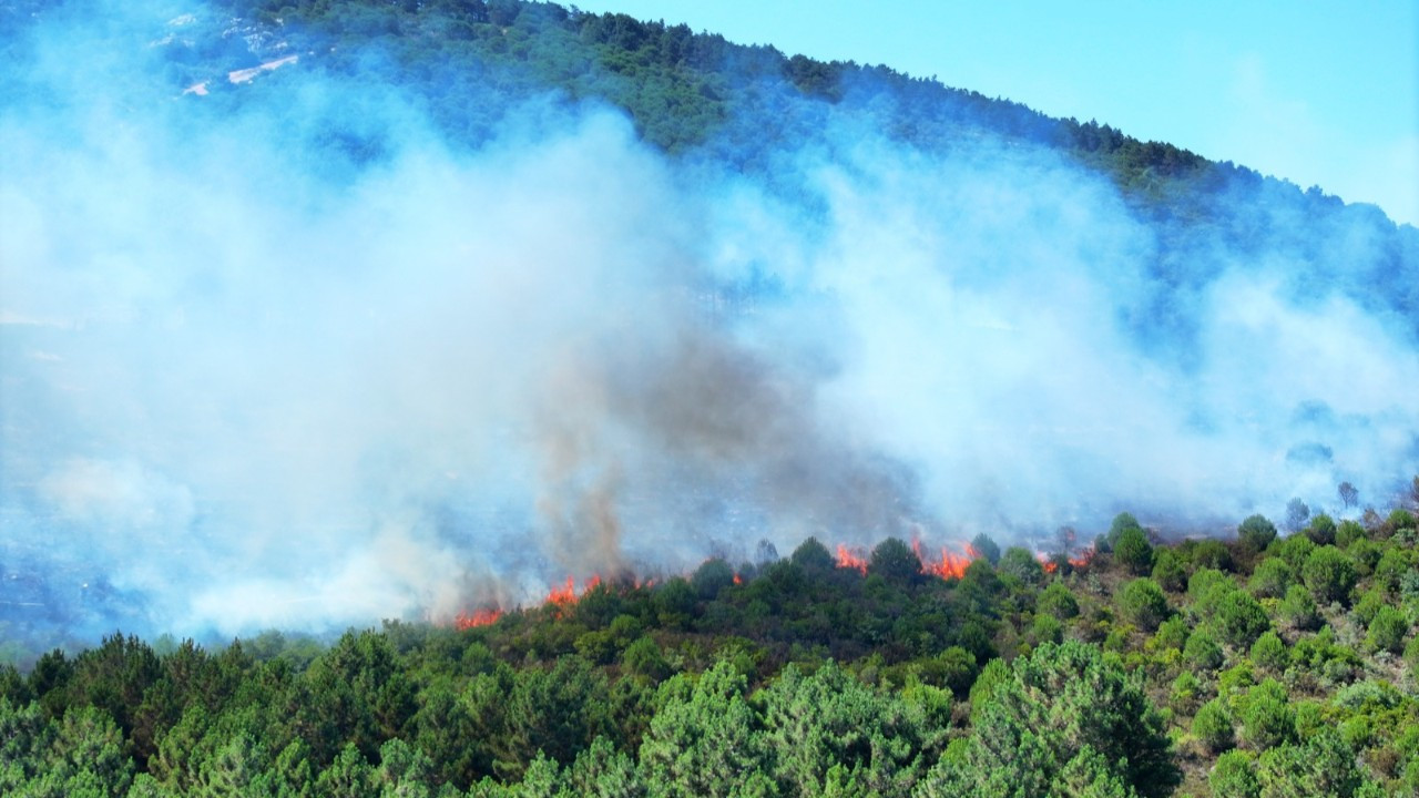 Aydos Ormanı'ndaki yangın kontrol altında