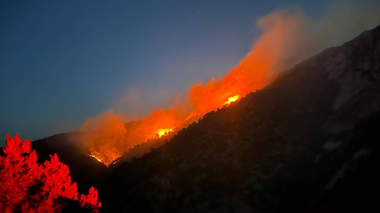 Çorum'daki orman yangınında yaklaşık 30 hektar alan zarar gördü