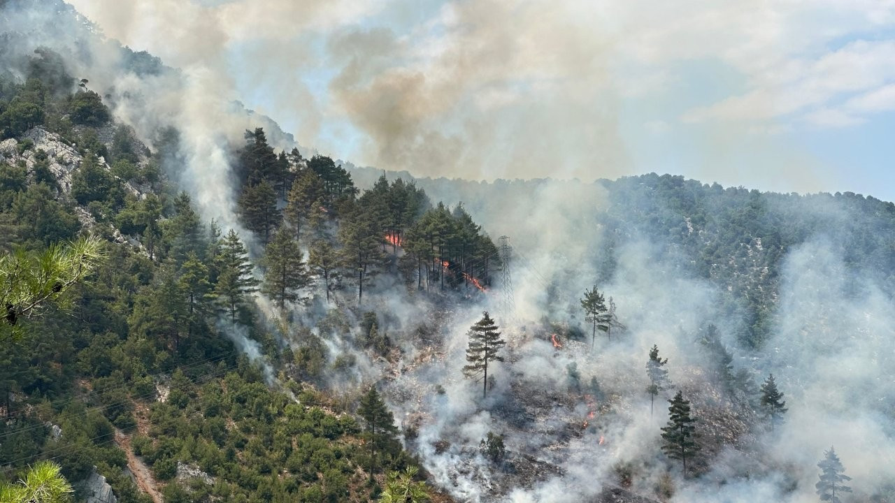 Adana'da orman yangını