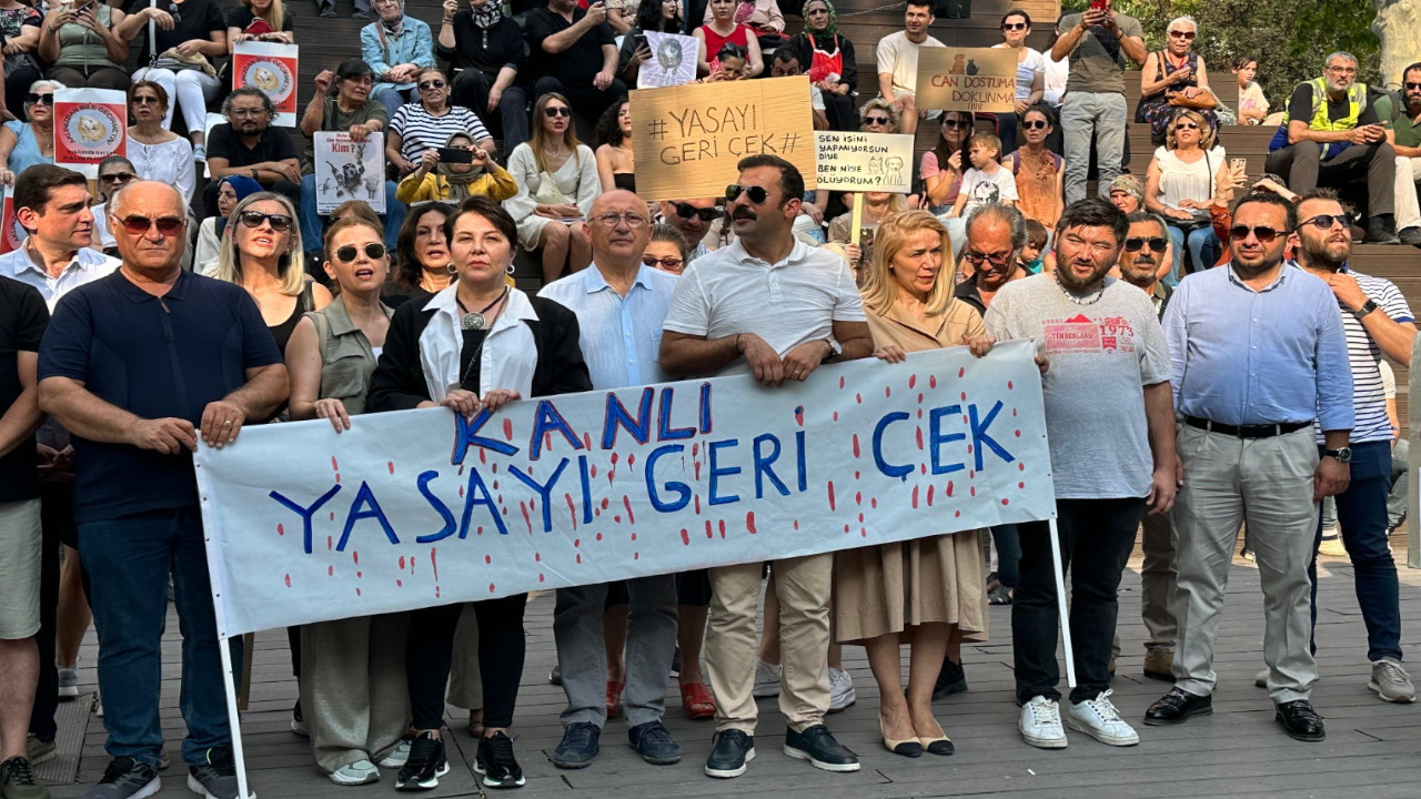 CHP Eskişehir İl Başkanı'na 'sokak hayvanları' eyleminden soruşturma