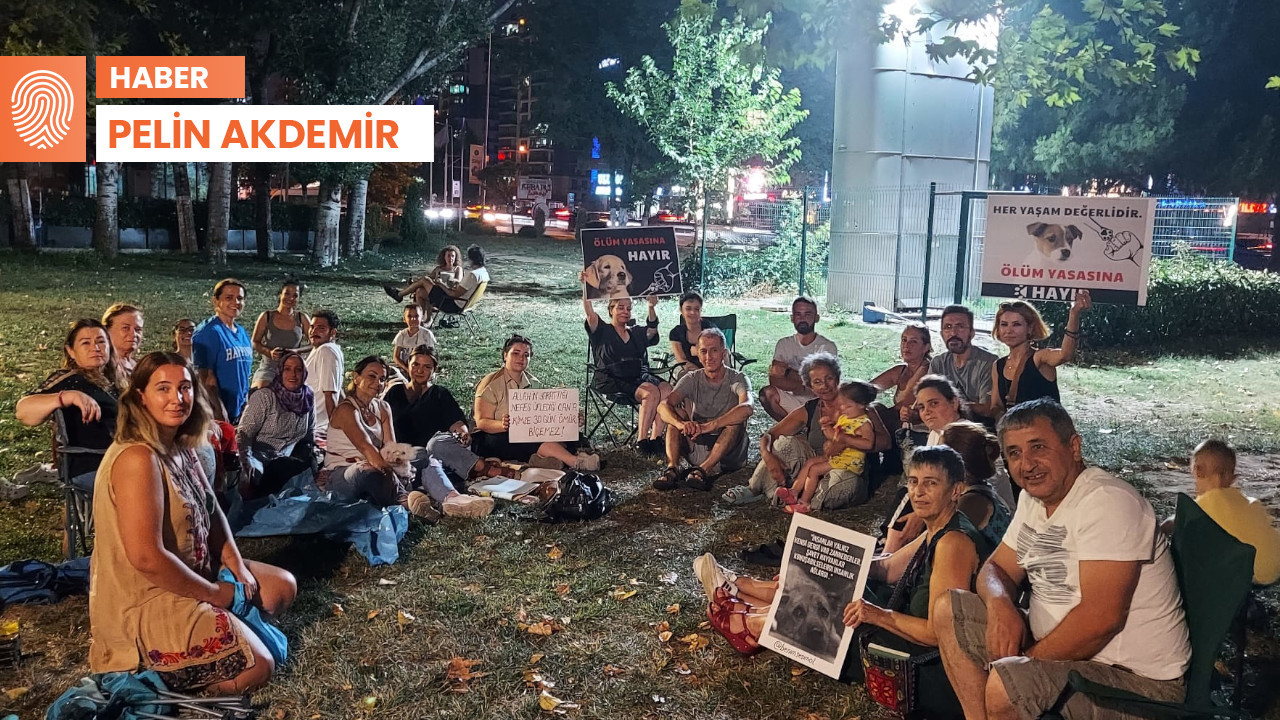 Bursa'da hayvanseverlerden yasa teklifine karşı oturma eylemi