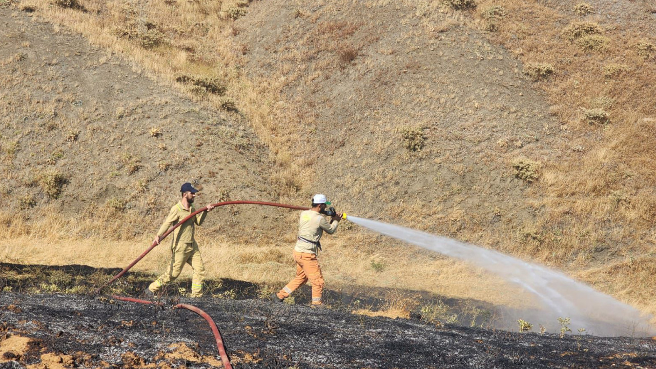 Bingöl'de 3 noktada çıkan yangınlar söndürüldü