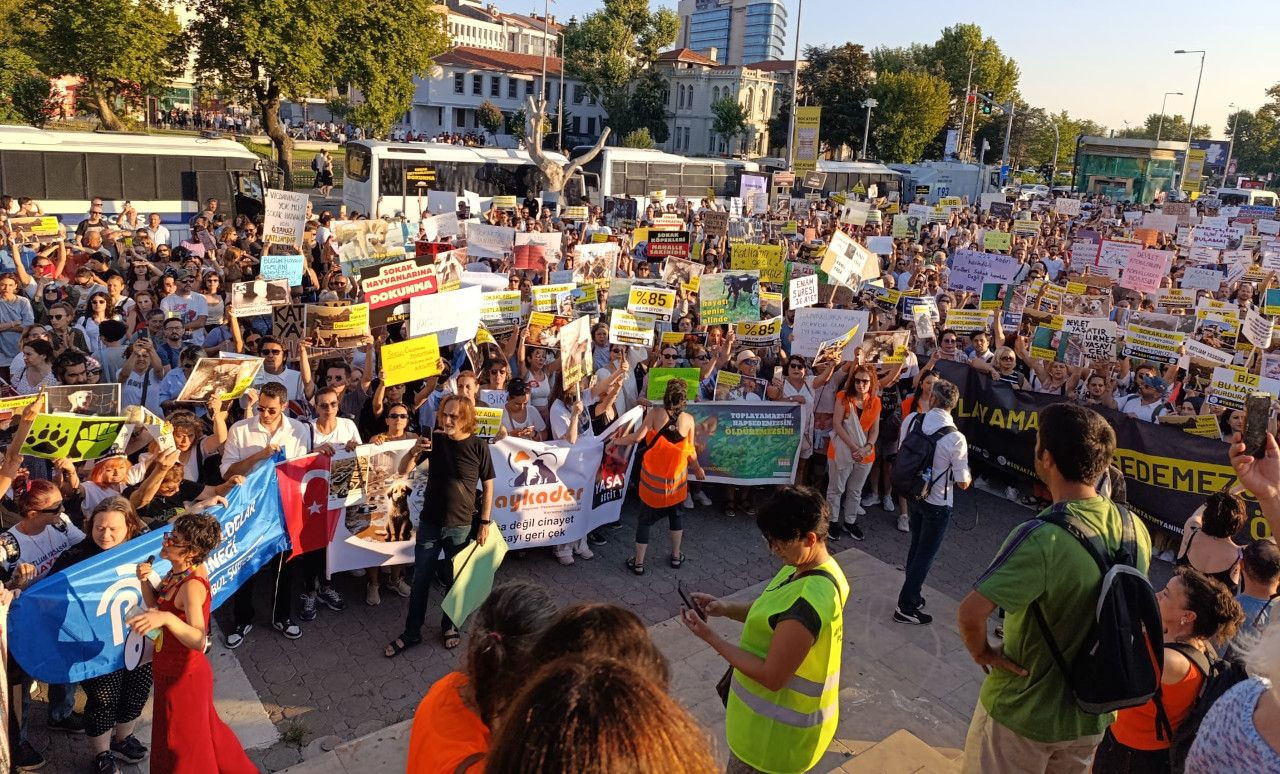 Hayvanseverler yasa teklifini Kadıköy'de protesto etti: 'Yaşam hakkını oylayamazsınız' - Sayfa 2