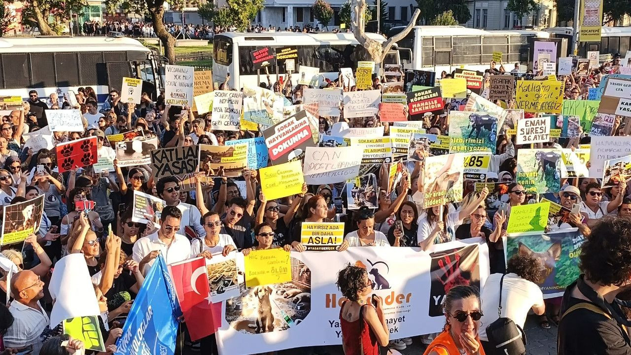 Hayvanseverler yasa teklifini Kadıköy'de protesto etti: 'Yaşam hakkını oylayamazsınız' - Sayfa 3