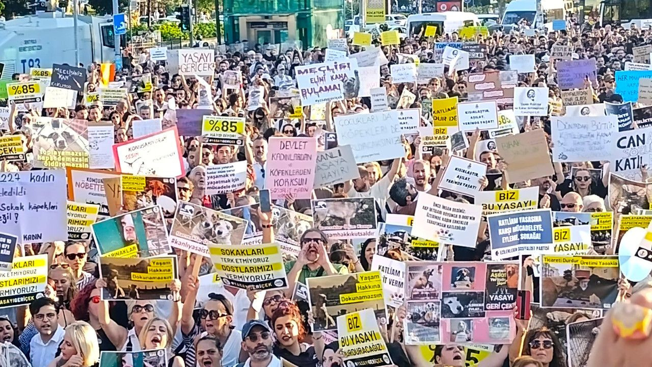 Hayvanseverler yasa teklifini Kadıköy'de protesto etti: 'Yaşam hakkını oylayamazsınız' - Sayfa 4
