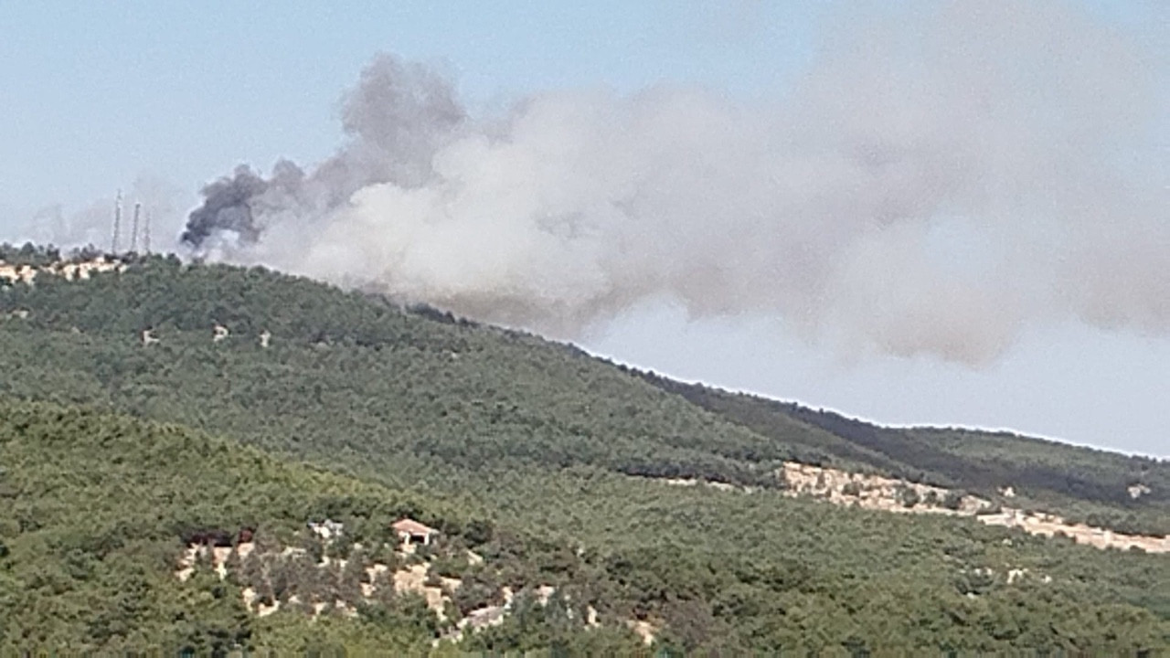 Antep'te orman yangınına müdahale sürüyor