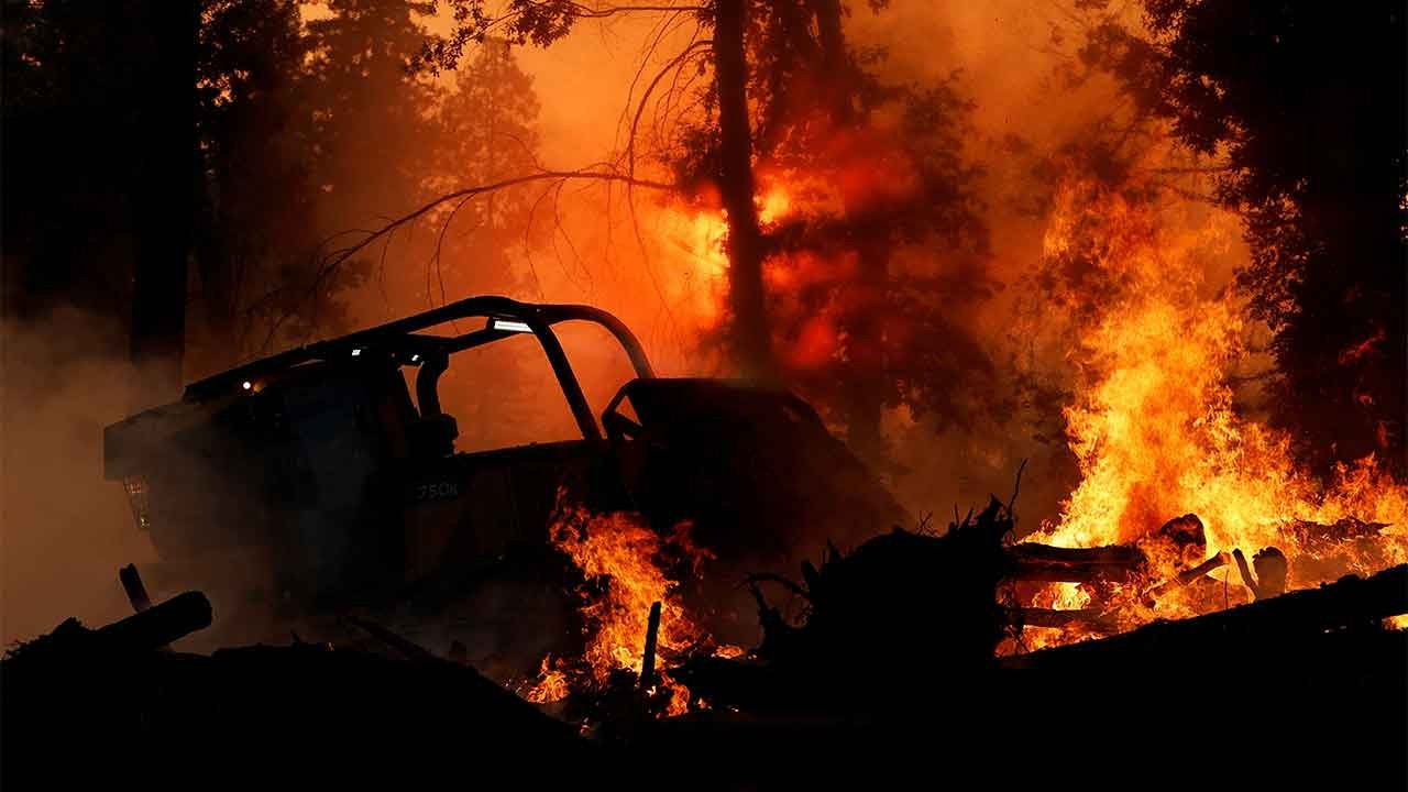 Kaliforniya'da orman yangınları:  350 bin dönümden fazla alan yandı