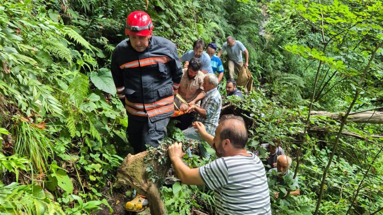 Trabzon'da uçuruma düşen yaşlı kadın kurtarıldı