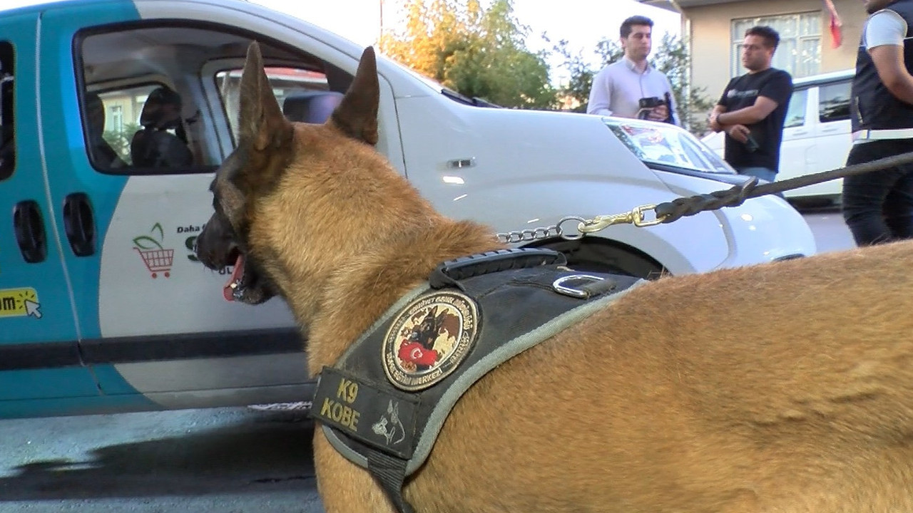 Teknenin buzdolabındaki kadın cesedini narkotik köpeği buldu