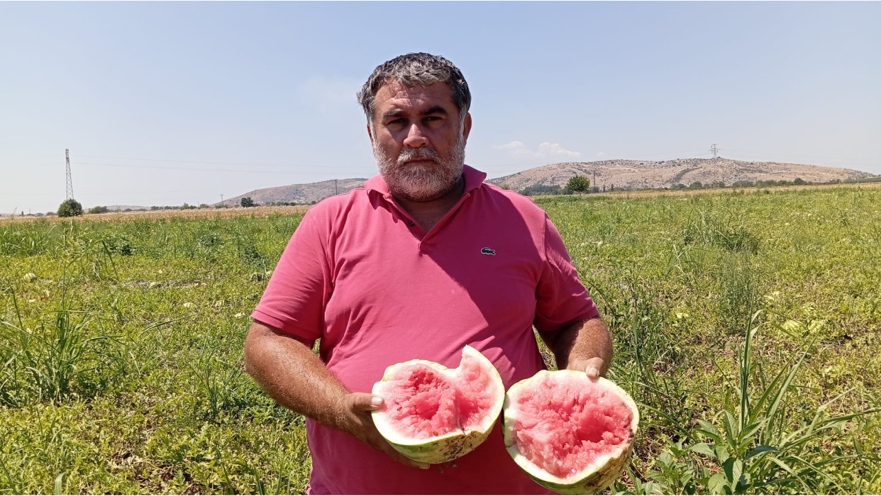 Karpuzları tarlada kalan çiftçi: Tarlada yanıyor karpuzumuz