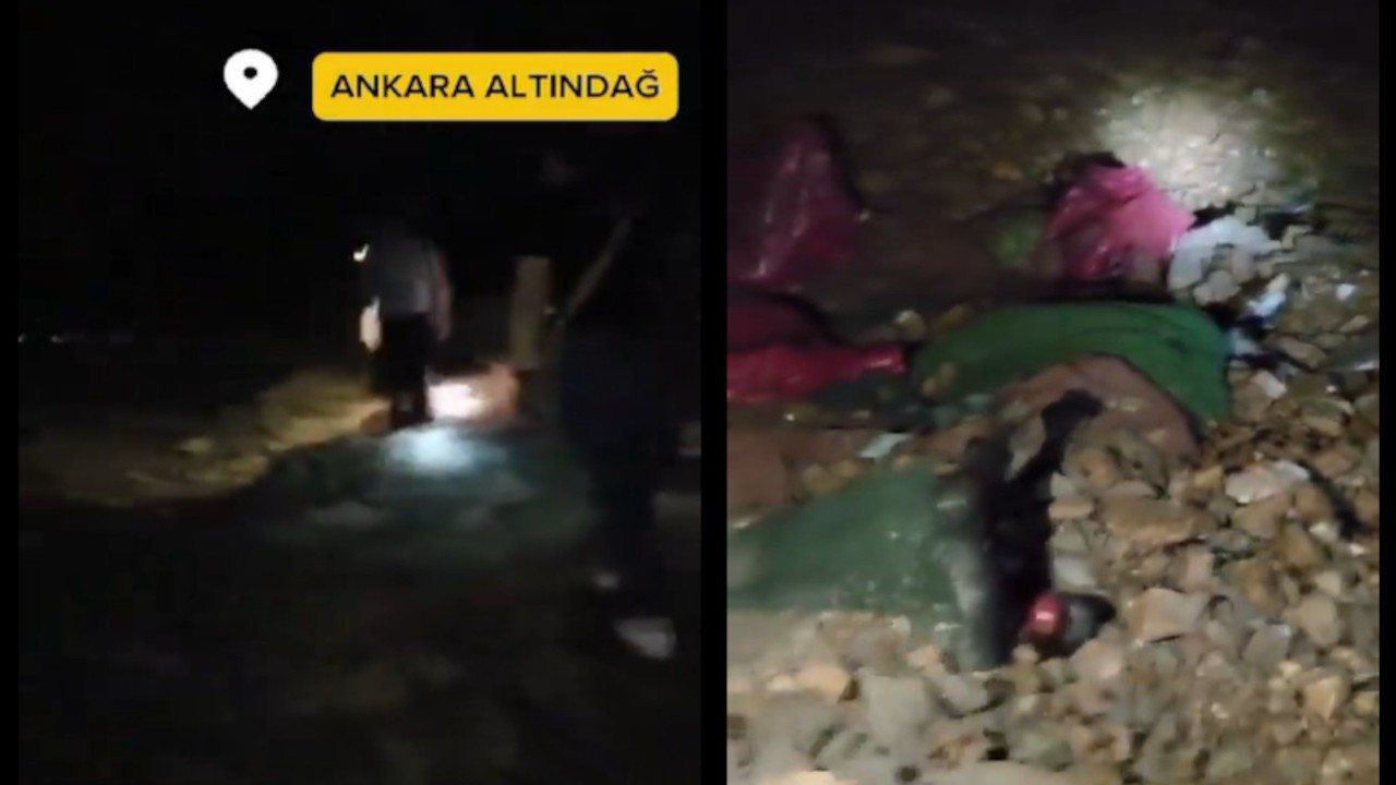 Niğde'nin ardından Altındağ'da köpek katliamı iddiası