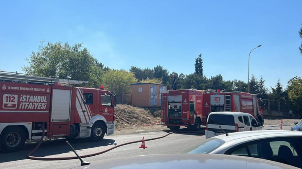 Tuzla'da ağaçlık alanda yangın çıktı