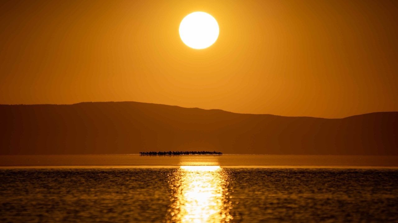 Tuz Gölü'nde 5 bin yavru flamingo konaklıyor - Sayfa 1