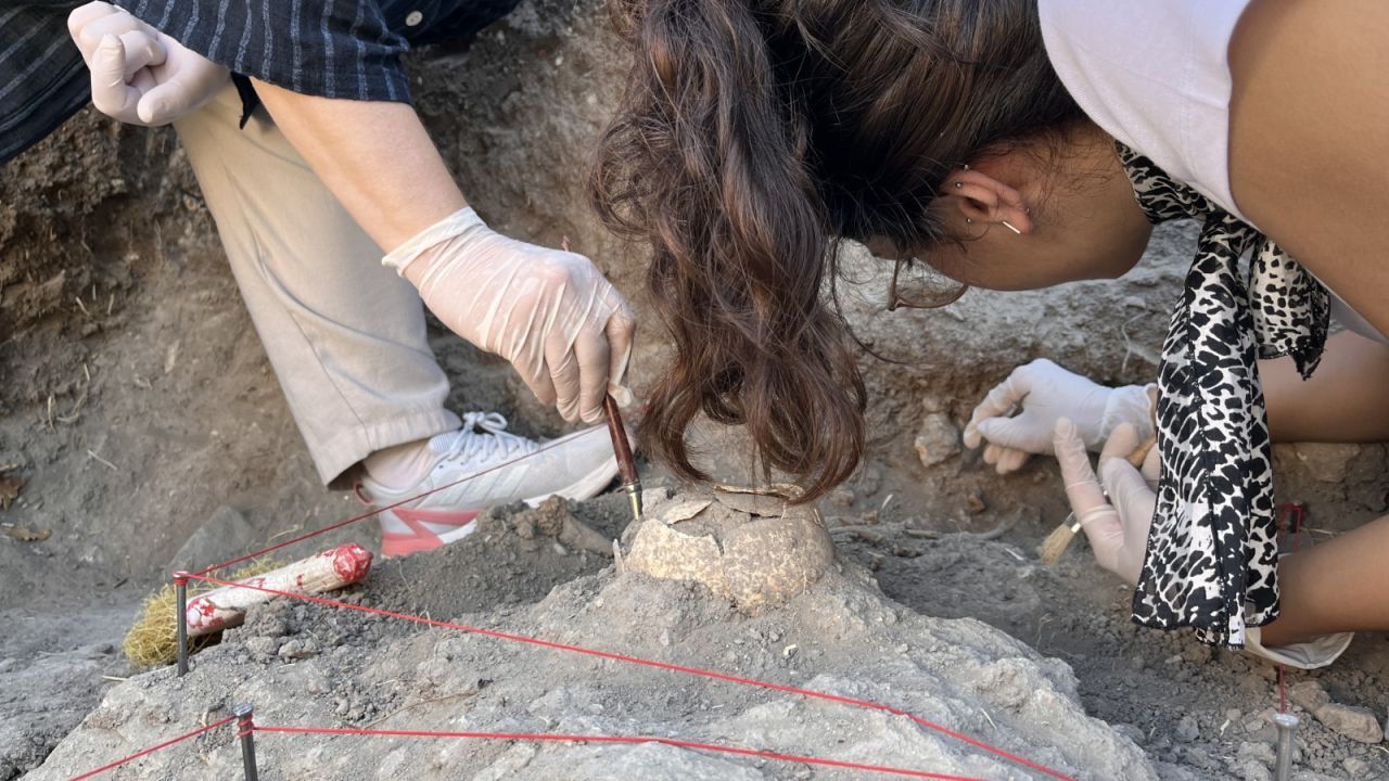 Troya'da yeni keşif: Sürpriz buluntular bekleniyor - Sayfa 2