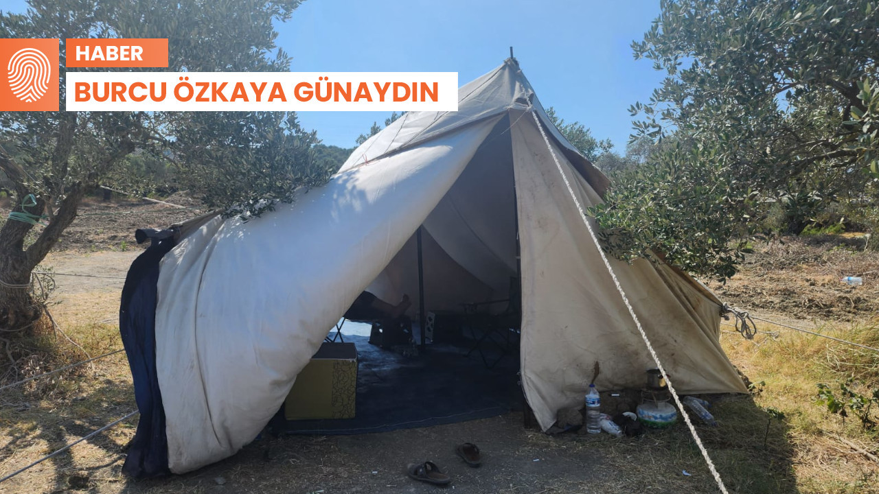 Hatay’da zeytin nöbetine müdahale: 6 Şubat’ta öldük, buraya gömersiniz