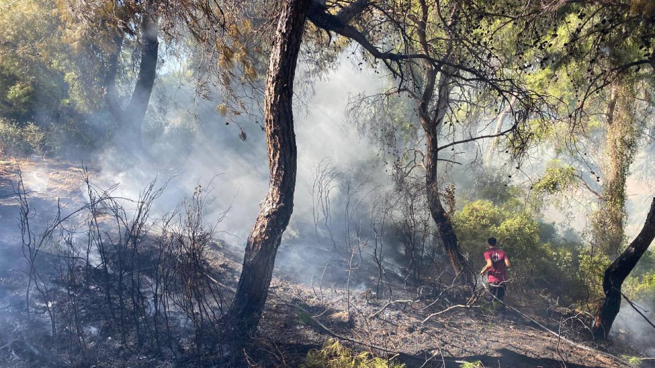 Antalya'da çıkan orman yangını söndürüldü