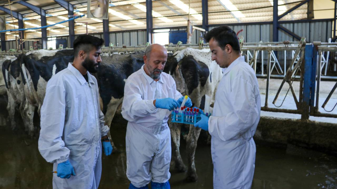 Burdur'da hayvan tedavisine bitkisel ilaç patenti