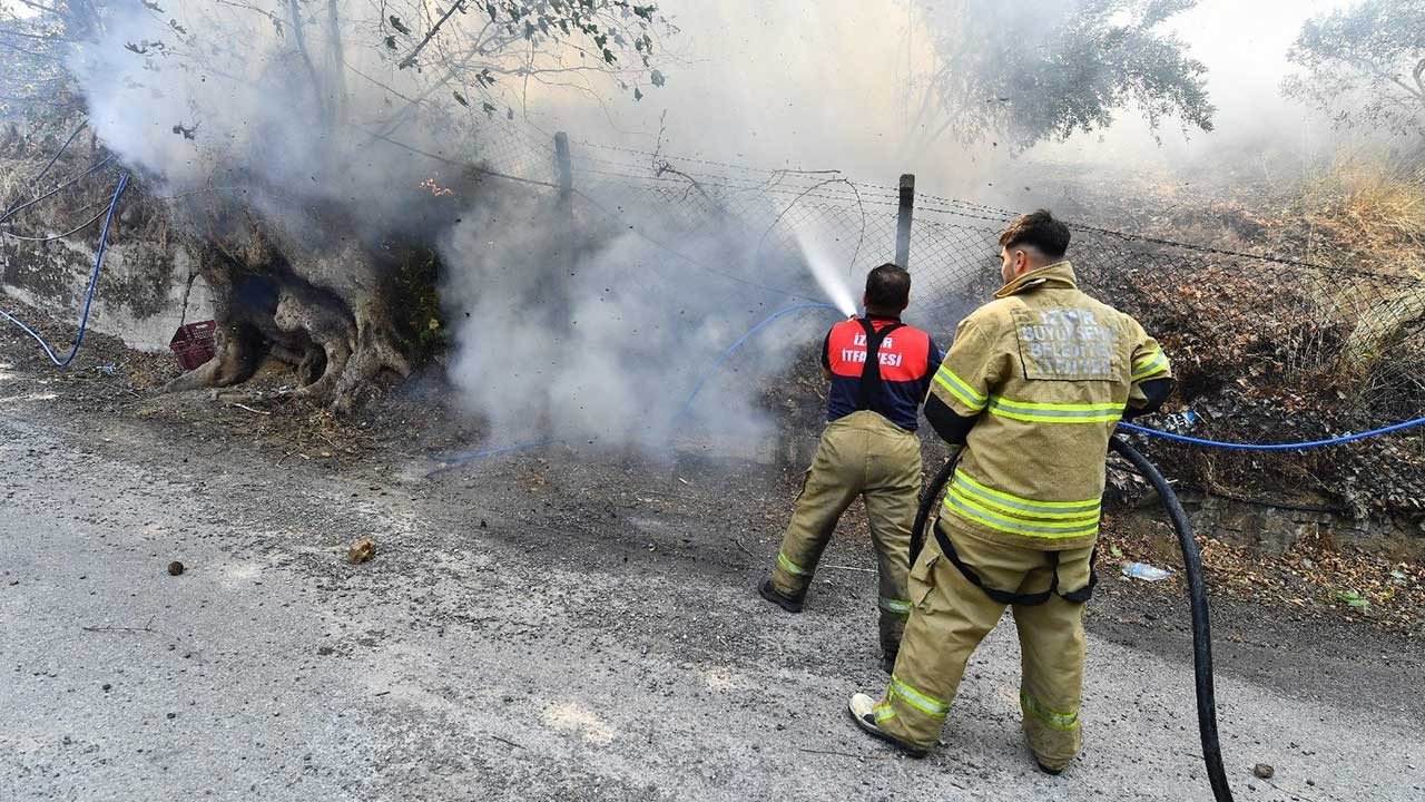 İzmir İtfaiyesi 4 günde 249 yangına müdahale etti