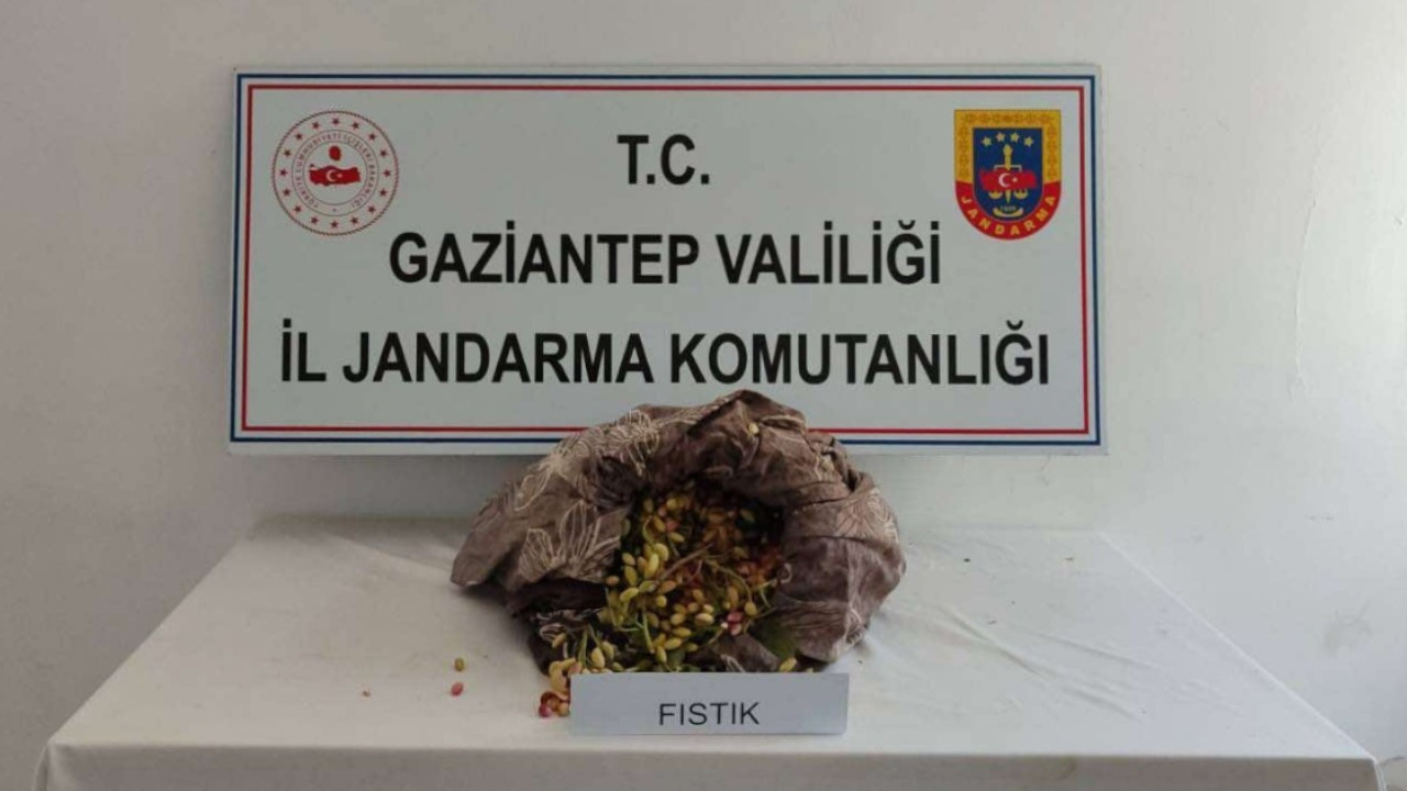 Antep'te fıstık çalan 3 kişi tutuklandı