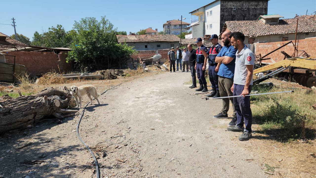 Bağlandığı kamyonetin peşinde sürüklenen köpek tedaviye alındı