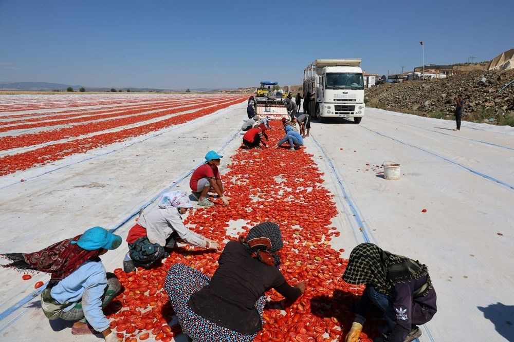 Deprem bölgesinde umut: Güneşte kurutulan domatesler ihraç ediliyor - Sayfa 4