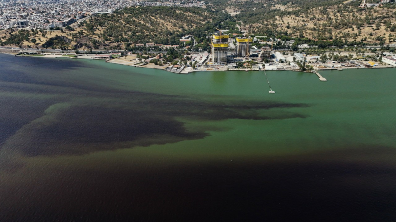 İzmir Büyükşehir'den kötü koku ve balık ölümlerine ilişkin açıklama