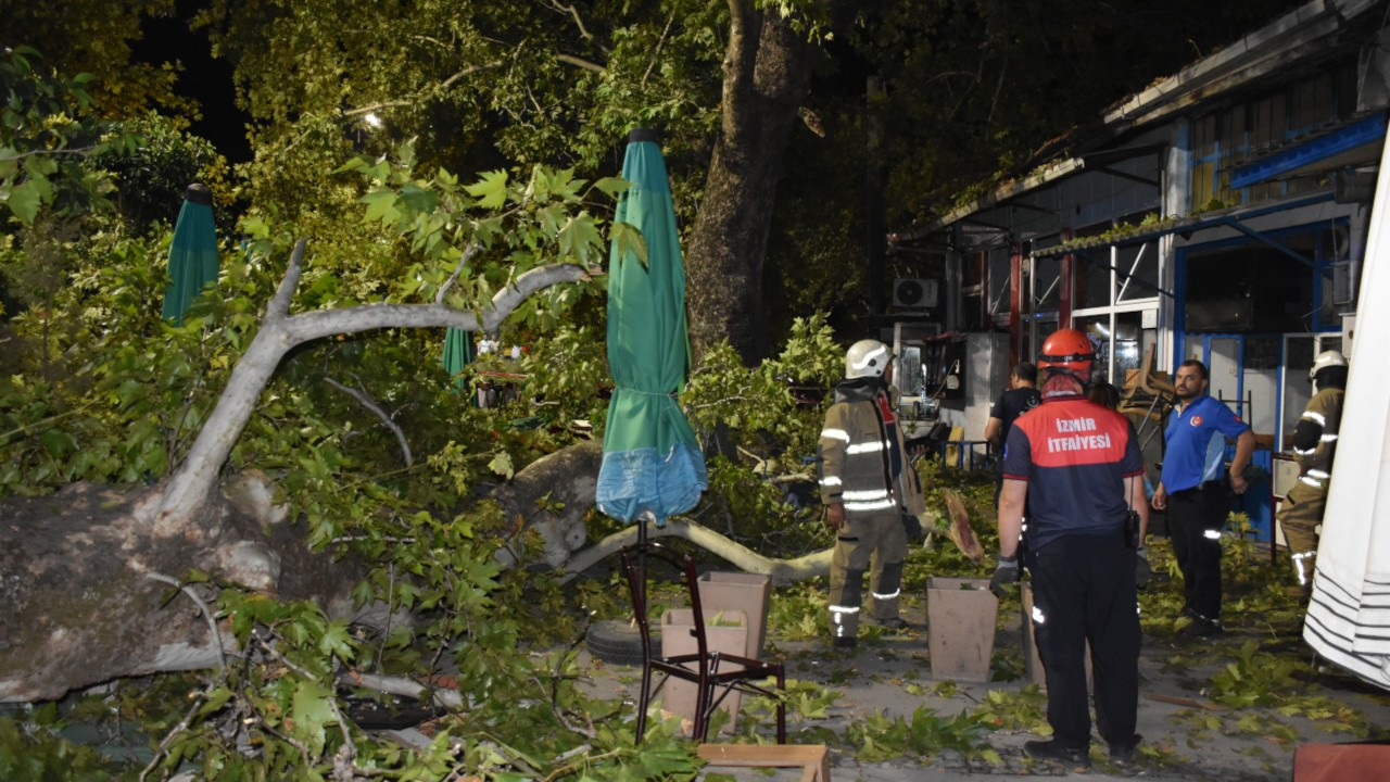 Asırlık çınarın dalları kahvede oturanların üzerine devrildi: 9 yaralı