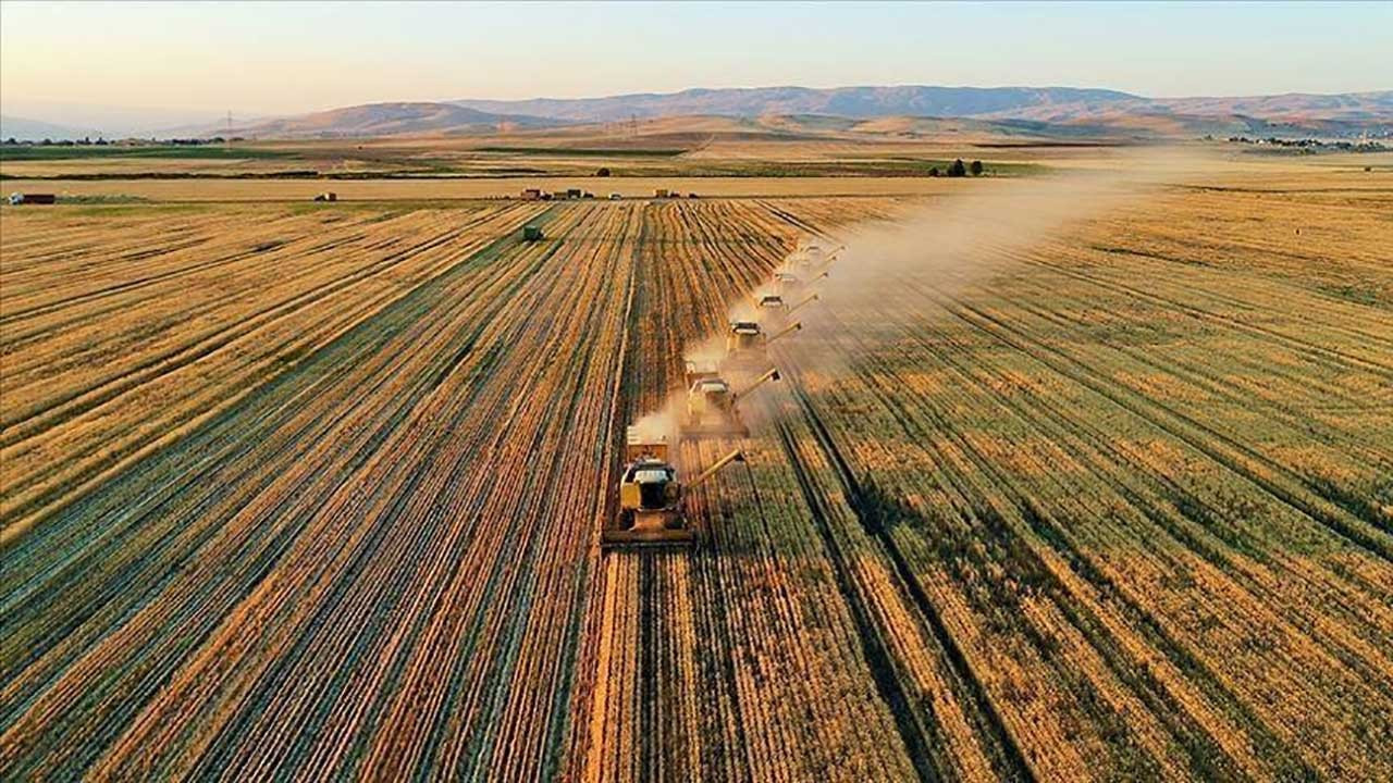 Karar Resmi Gazete'de: ÇKS’ye kayıtlı tüm üreticiler destek alacak