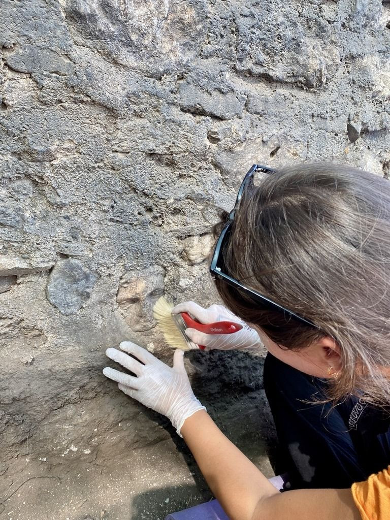 Fethiye Kalesi kazısında heykel başı bulundu - Sayfa 2