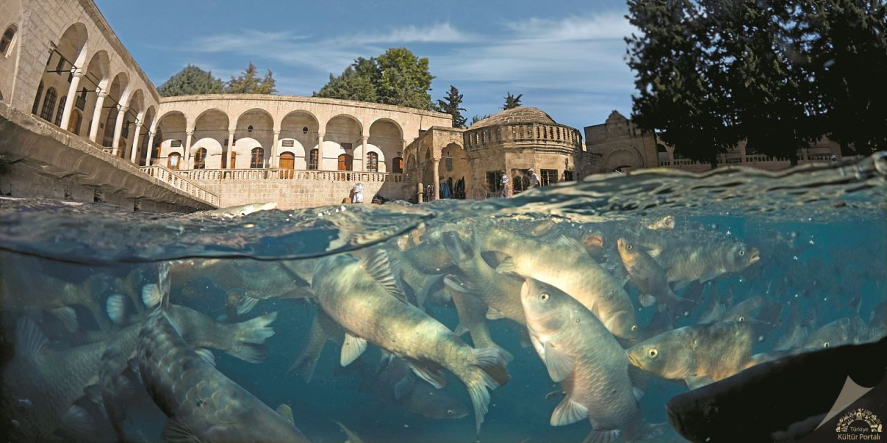 Tarihî Balıklıgöl, binlerce turisti ağırlıyor - Sayfa 2