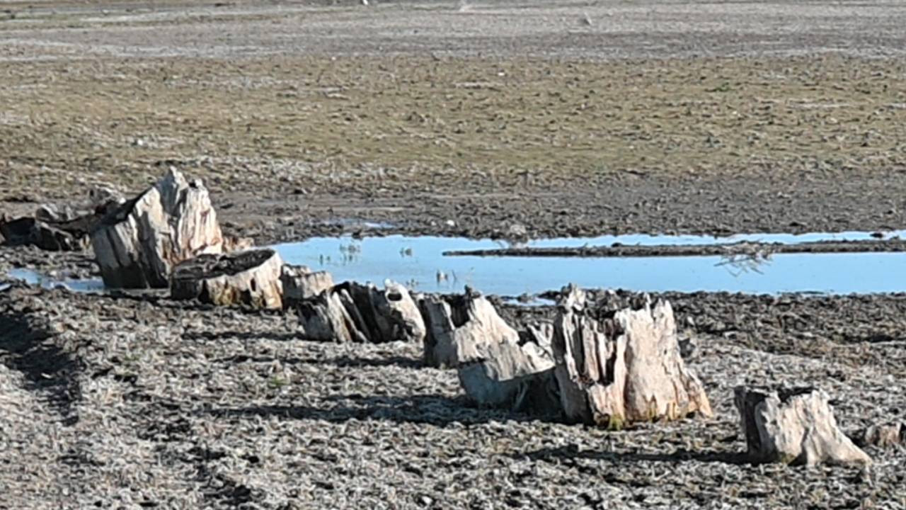 Yozgat'ta kuraklık nedeniyle baraj ve göletlerdeki su seviyesi azaldı