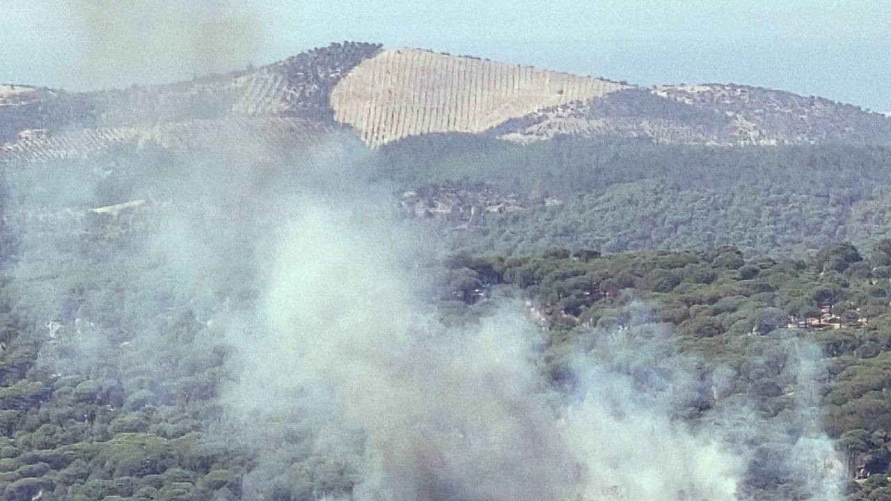 İzmir Bergama’da çıkan orman yangını kontrol altına alındı