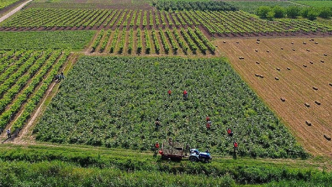 Resmi Gazete'de yayımlandı: Çiftçilere mazot, gübre ve prim desteği kaldırıldı