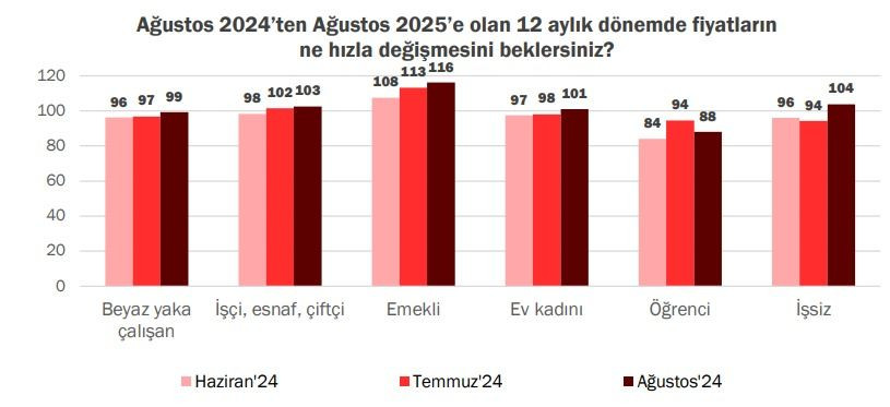 Koç ve KONDA'dan enflasyon anketi - Sayfa 4