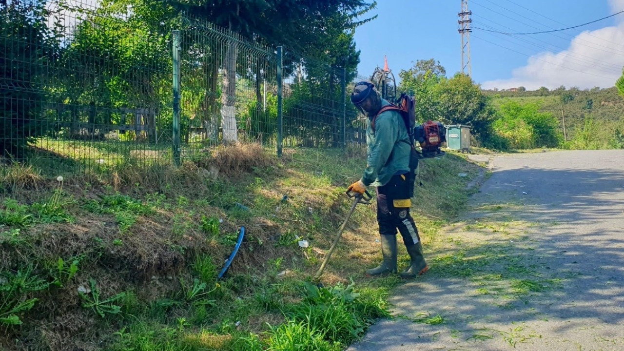 Giresun yabani otlardan temizleniyor