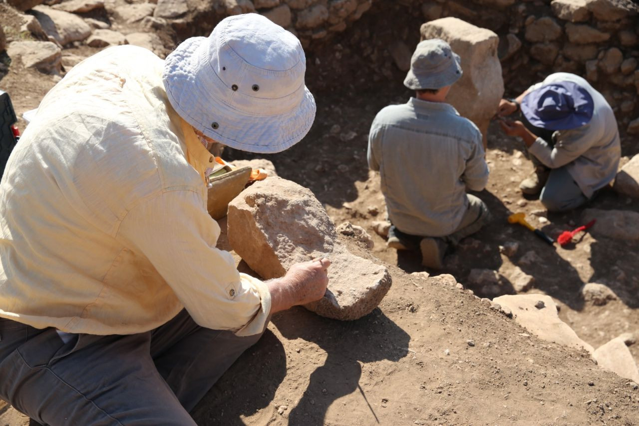 Karahantepe'de yaban eşeği figürü bulundu - Sayfa 3