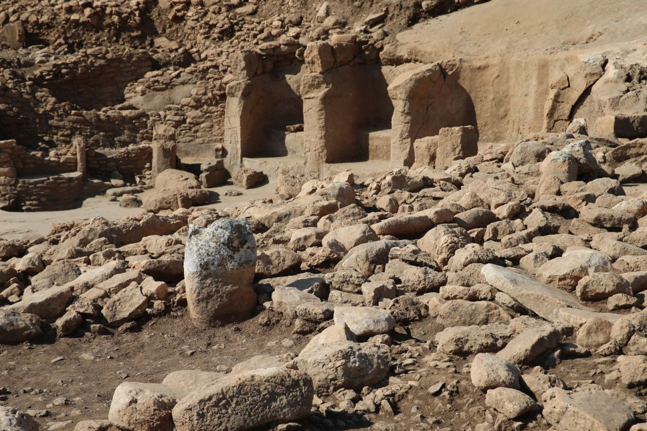 Karahantepe'de yaban eşeği figürü bulundu - Sayfa 4