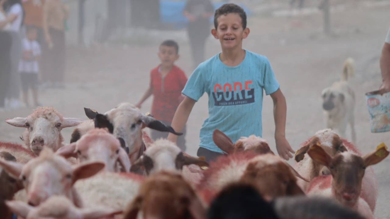 Burdur'da sudan koyun geçirme geleneği asırlardır yaşatılıyor