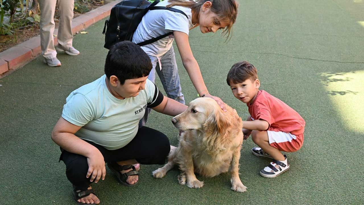 Manisa'da 'Can Yoldaşım' projesi sürüyor